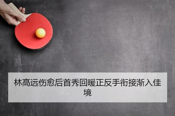 林高远伤愈后首秀回暖正反手衔接渐入佳境