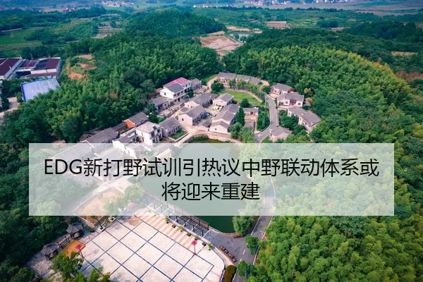 EDG新打野试训引热议中野联动体系或将迎来重建